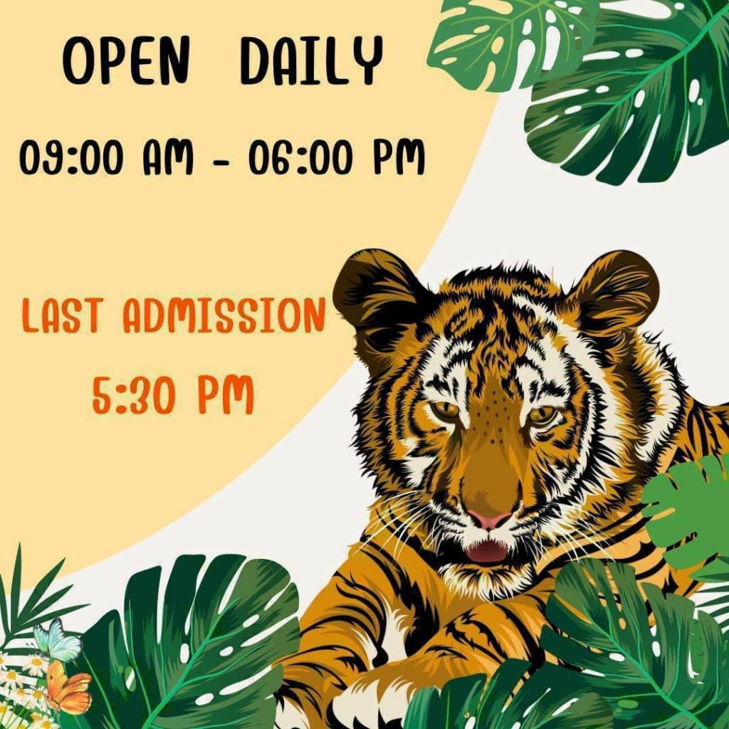 Tiger Kingdom