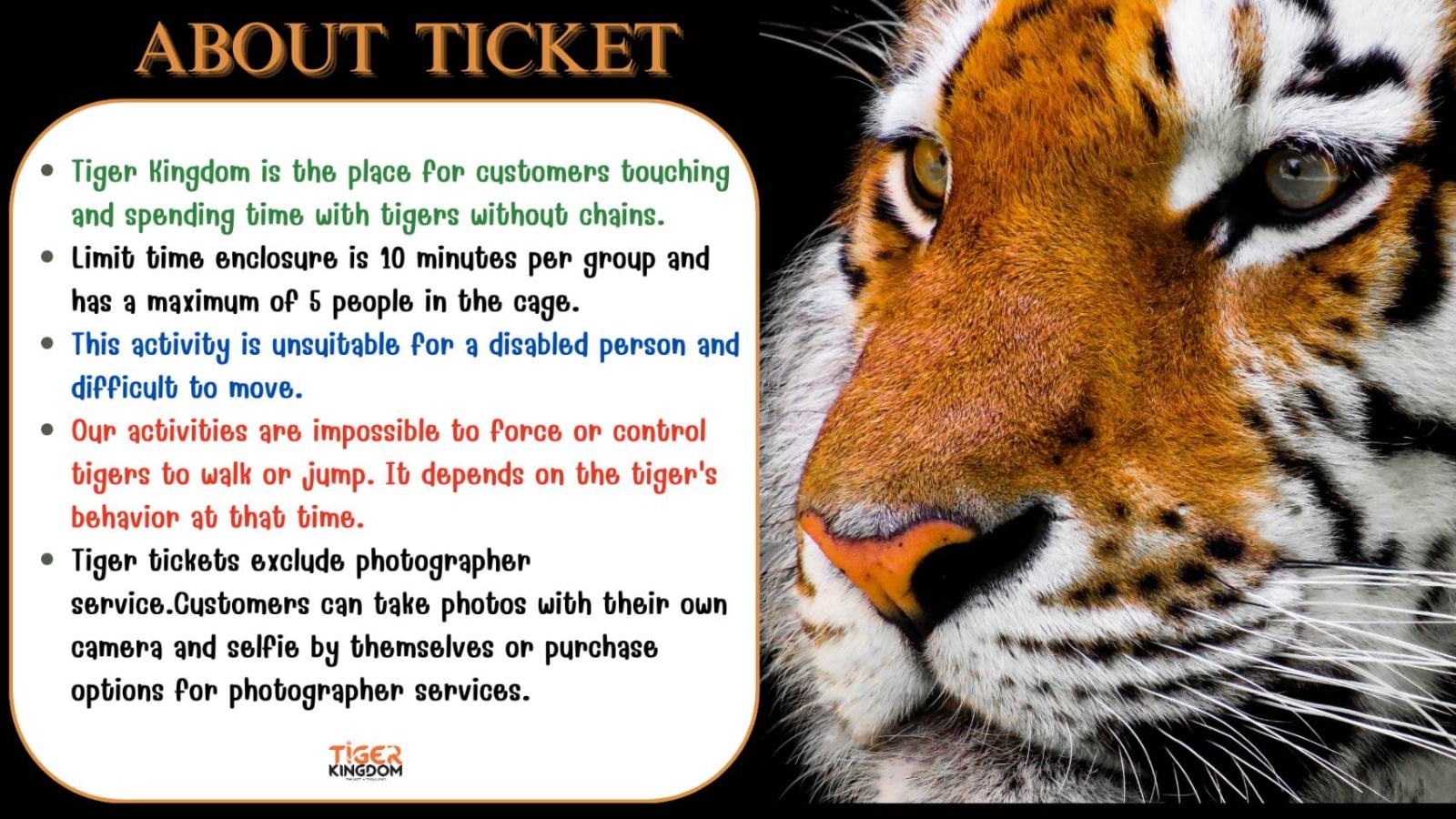 Tiger Kingdom