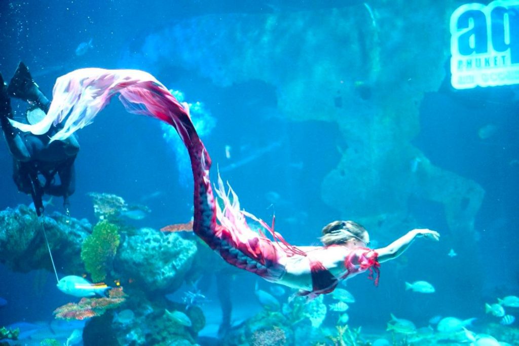Aquaria Phuket