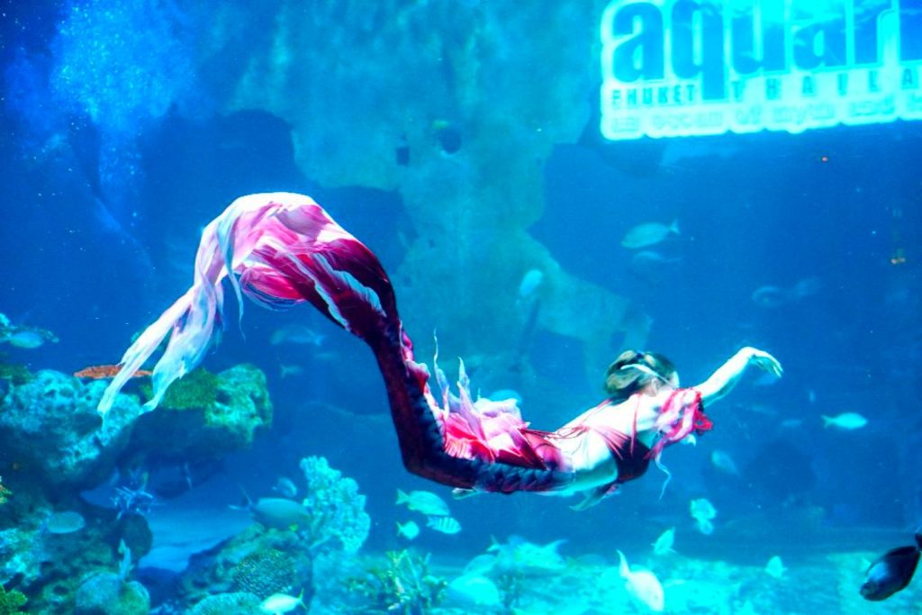 Aquaria Phuket