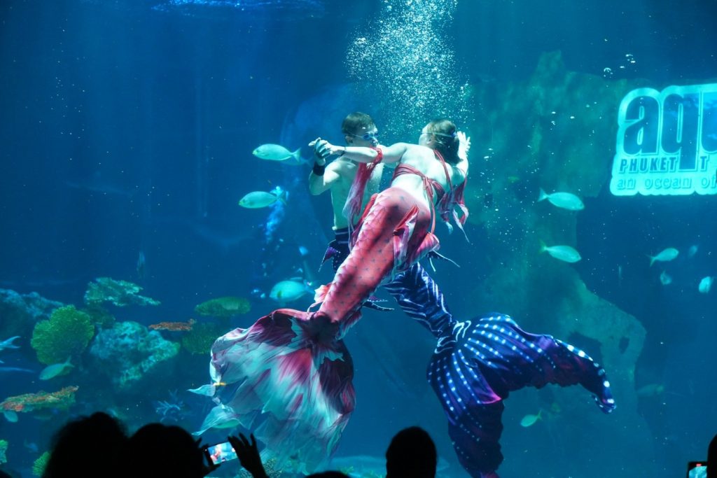 Aquaria Phuket