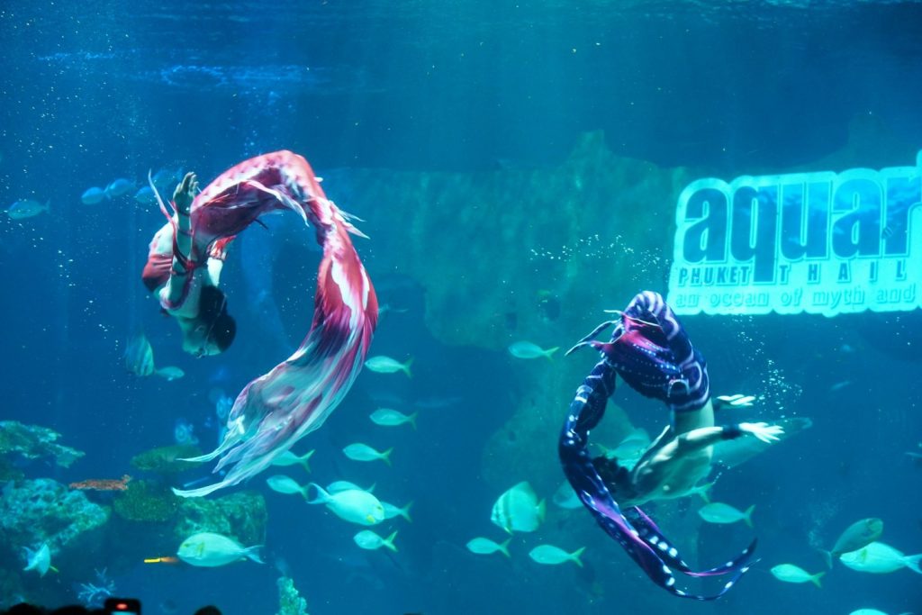 Aquaria Phuket