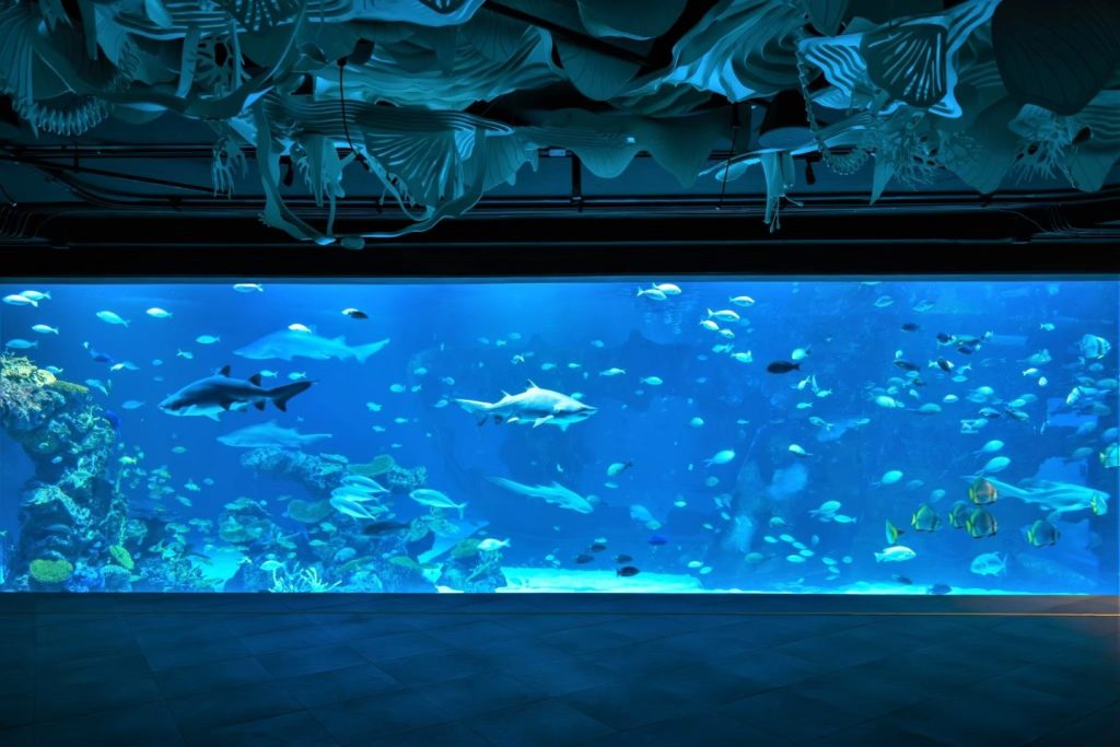 Aquaria Phuket