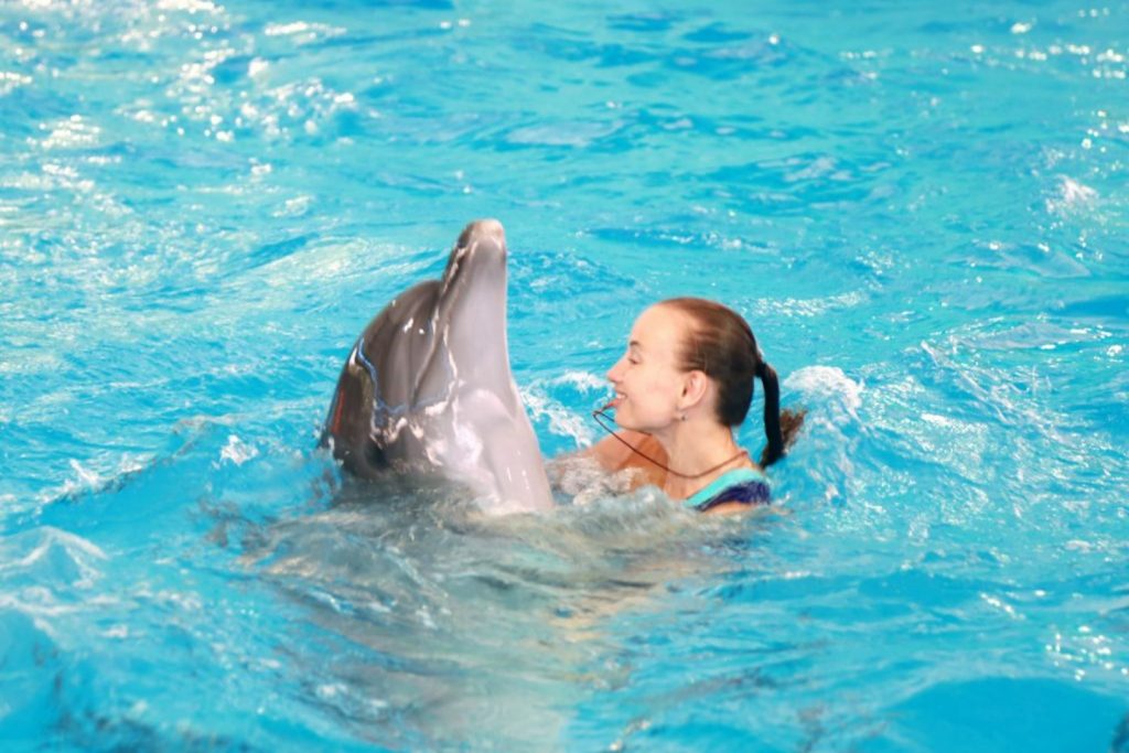 ภูเก็ตดอลฟินส์เบย์ Phuket Dolphin Bay