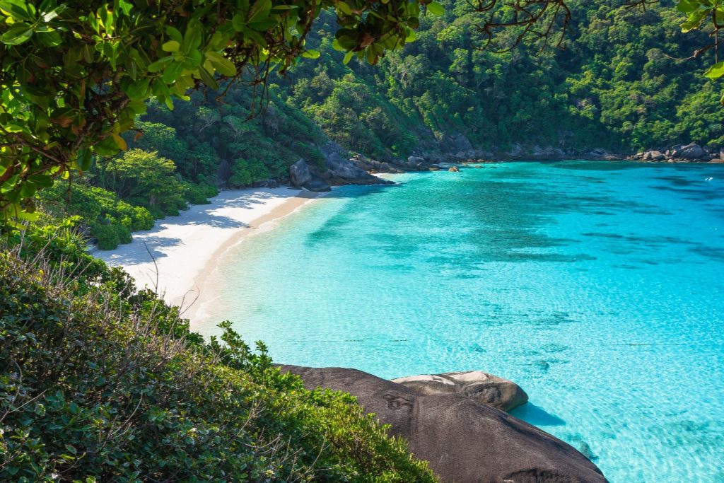 ทัวร์หมู่เกาะสิมิลัน โดยเรือสปีดโบ๊ท