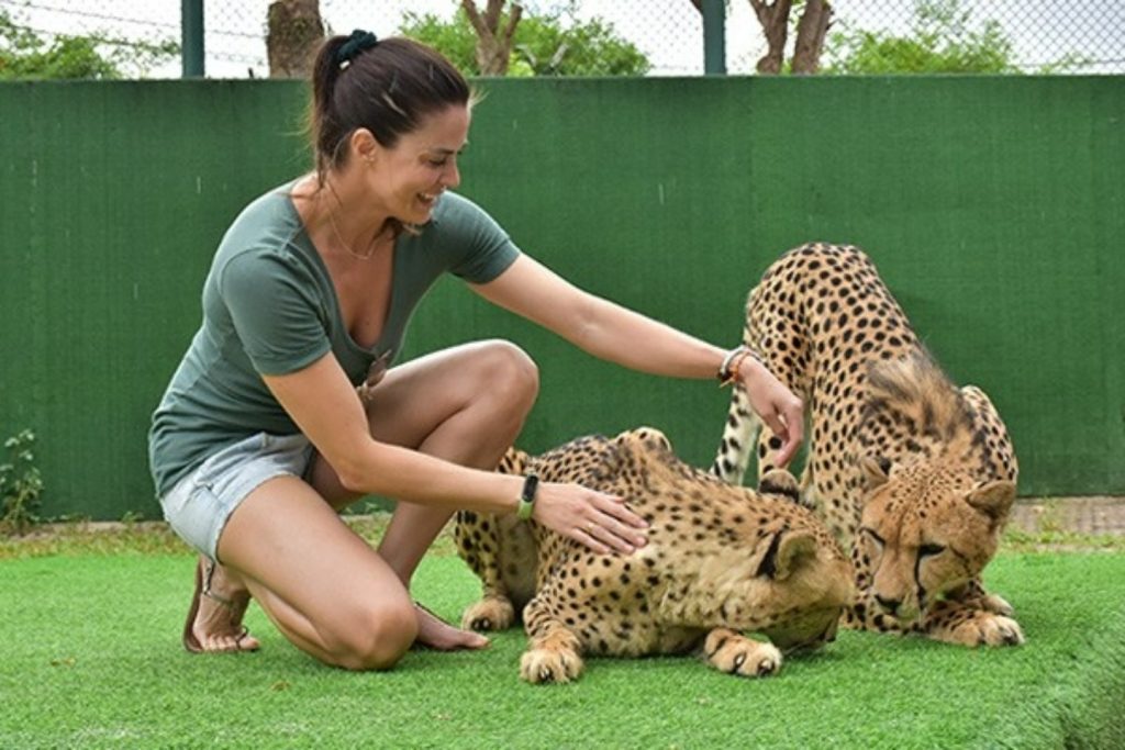 ไทเกอร์ คิงส์ดอม ภูเก็ต (สวนเสือ ภูเก็ต)
