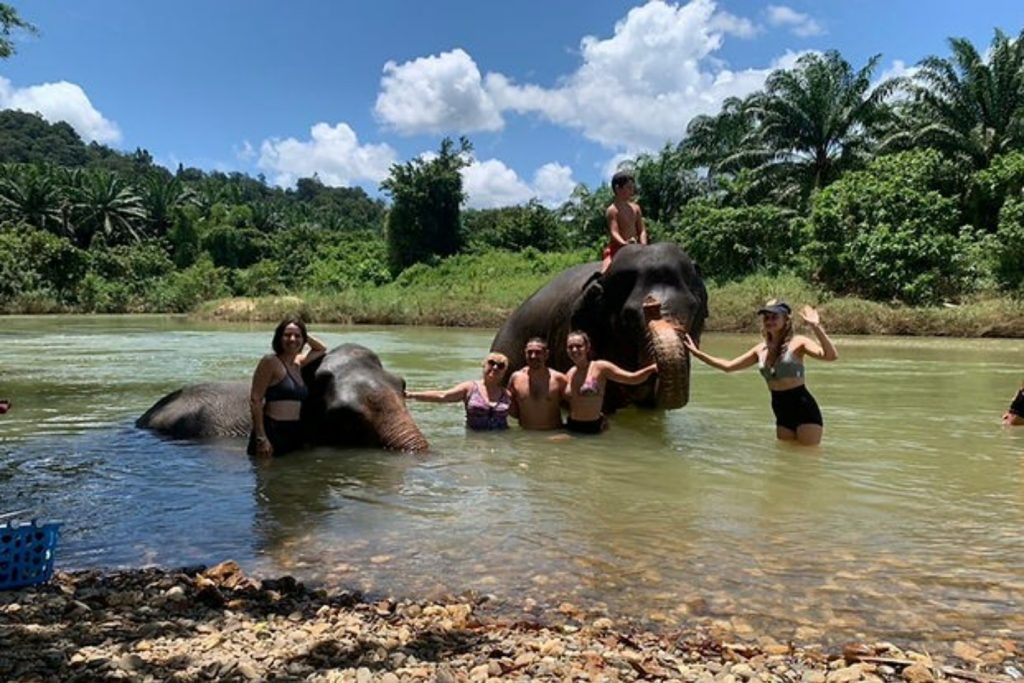 2 Days 1 Night Khaosok Jungle Discovery