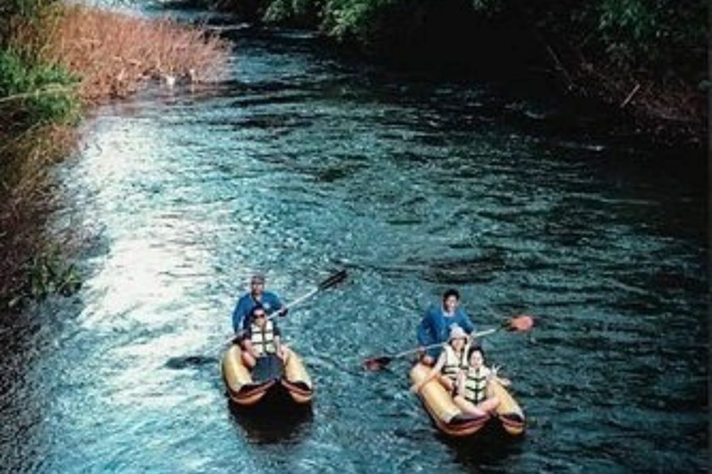 2 Days 1 Night Khaosok Jungle Discovery