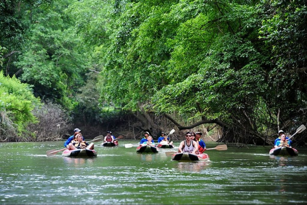 3 Days 2 Nights Trip KHAO SOK JUNGLE & Cheow Lan Lake Explorer